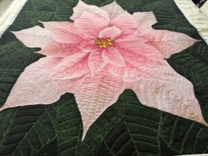 Poinsettia